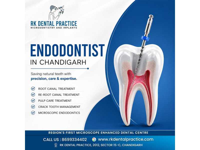endodontist-in-chandigarh-for-advanced-root-canal-treatment-small-0