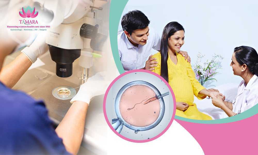 best-fertility-and-ivf-specialist-in-bangalore-big-0