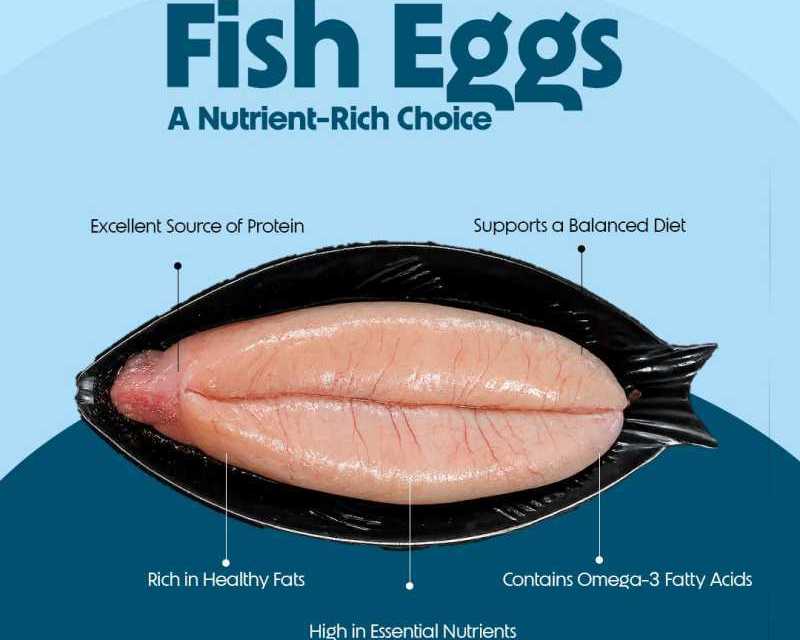 fish-eggs-protein-rich