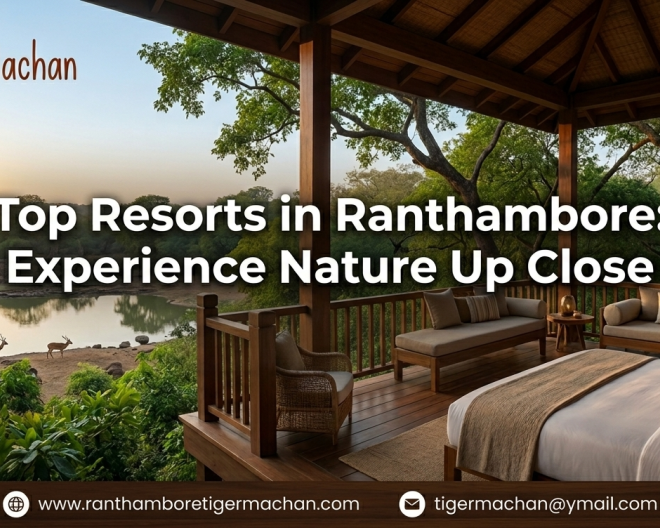 top-resorts-in-ranthambore-experience-nature-up-close