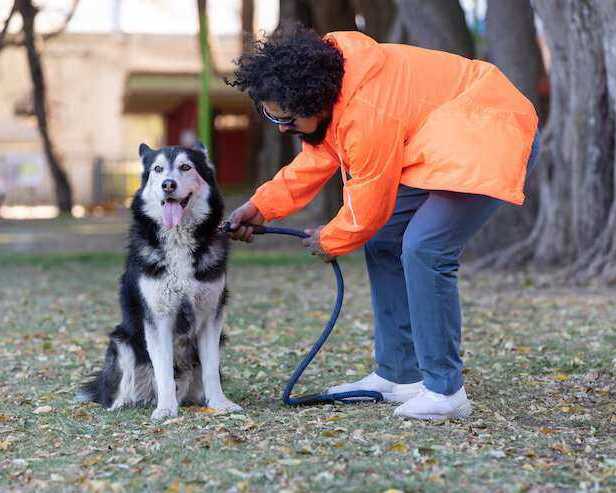 dog-training-service-in-bhubaneswar