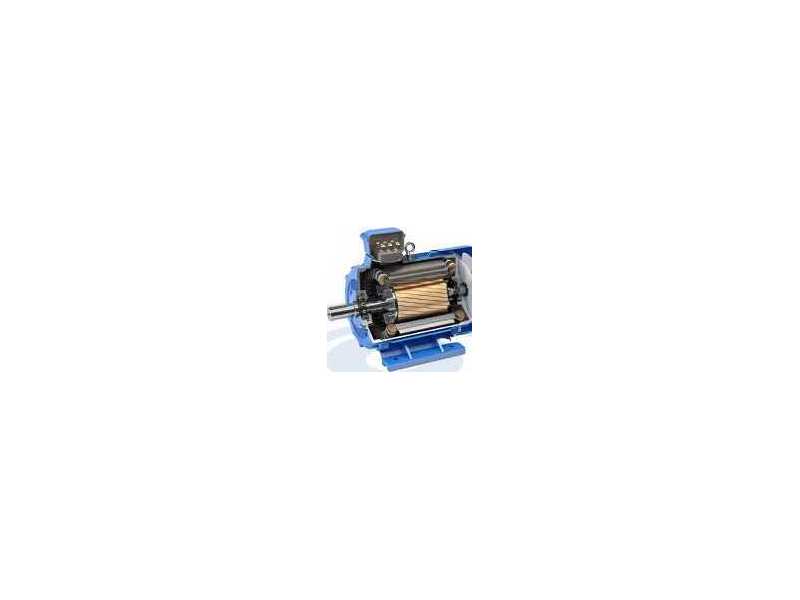 buy-electric-motors-online-in-tamil-nadu-ledl-electric-motors-small-1