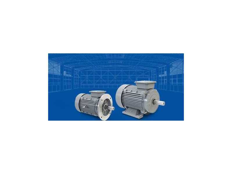 buy-electric-motors-online-in-tamil-nadu-ledl-electric-motors-small-0