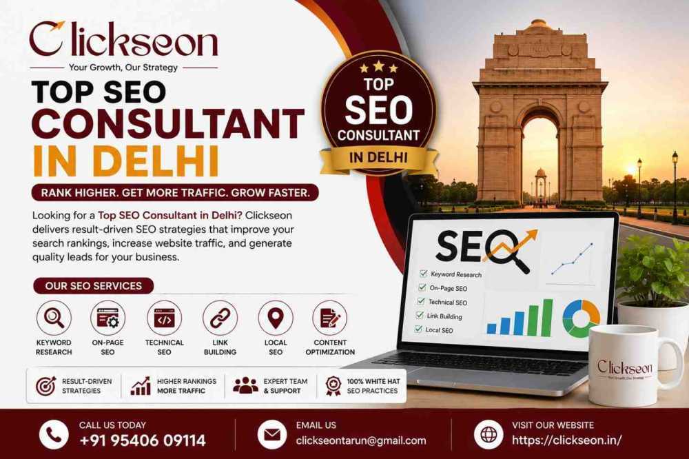 top-seo-consultant-in-delhi-big-0