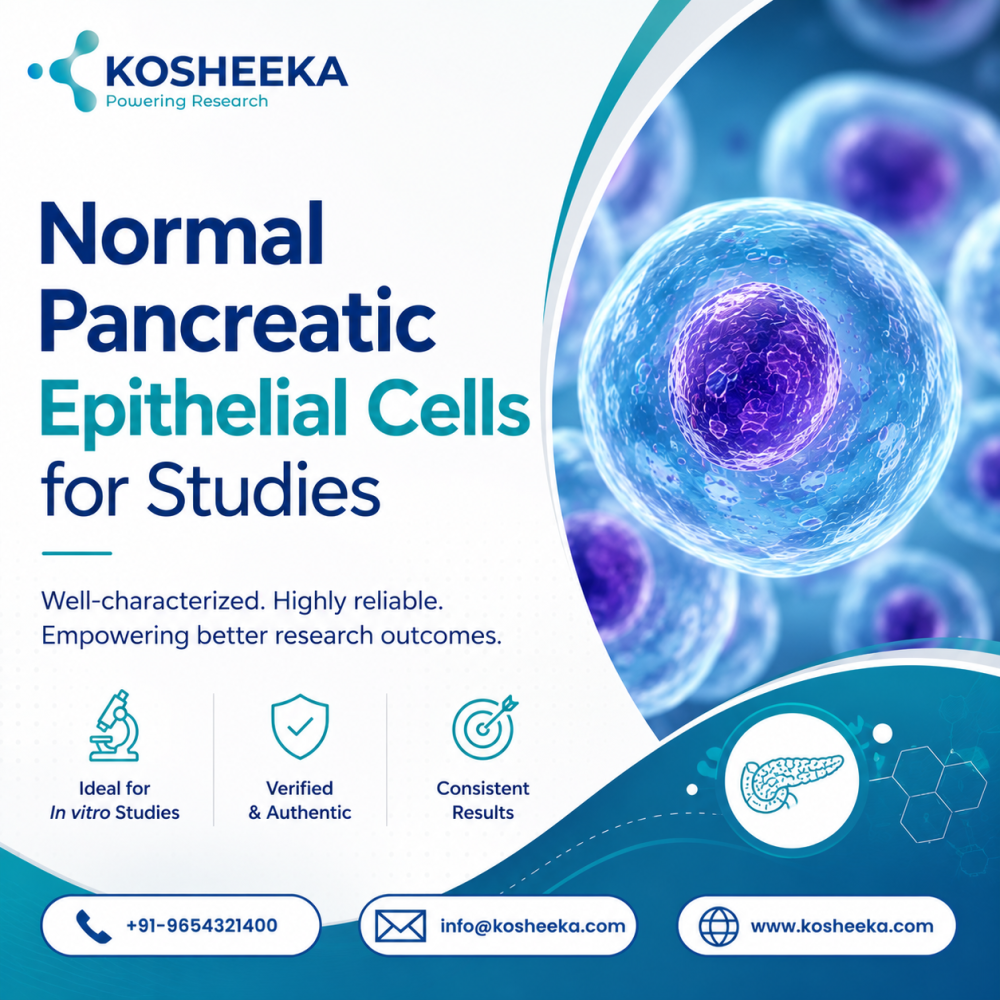 normal-pancreatic-epithelial-cells-for-studies-big-0