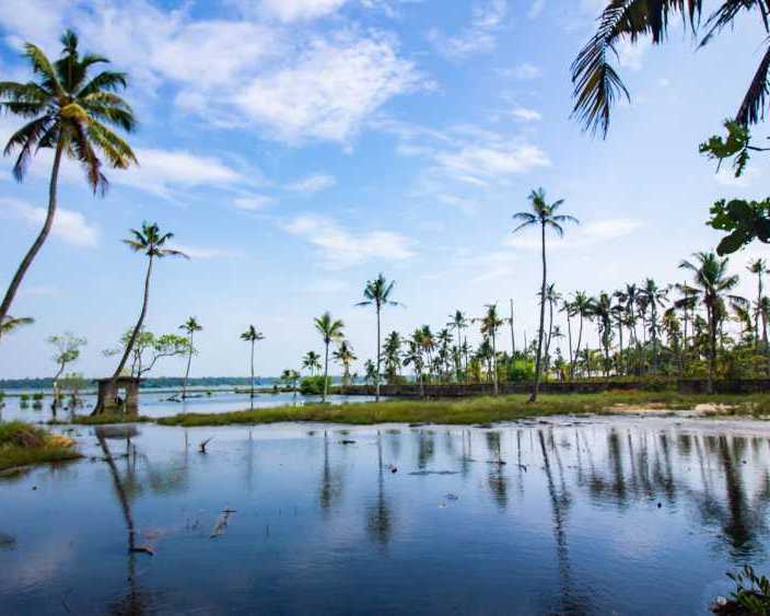 kerala-travel-guide-explore-gods-own-country