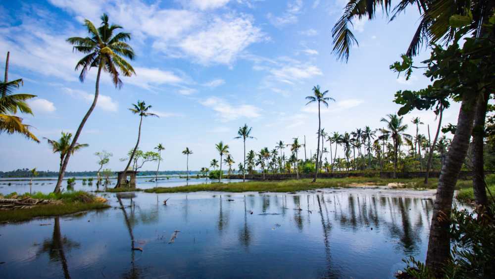 kerala-travel-guide-explore-gods-own-country-big-0