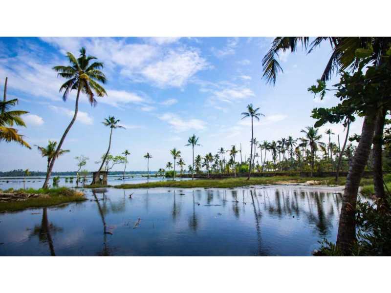 kerala-travel-guide-explore-gods-own-country-small-0