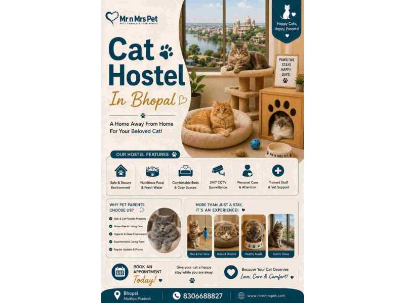 cat-hostel-in-bhopal-small-0