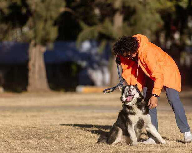 dog-training-service-in-nagpur