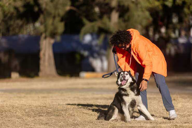 dog-training-service-in-nagpur-big-0