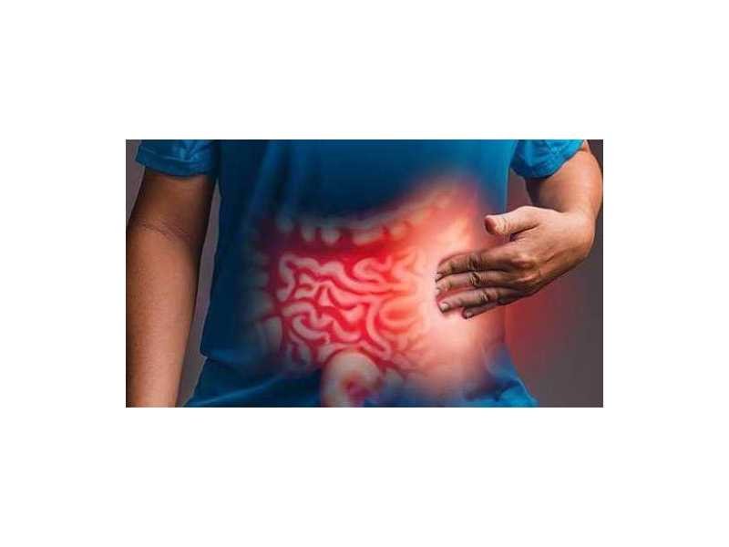 expert-digestive-solutions-with-an-intestinal-problems-doctor-gujarat-small-0