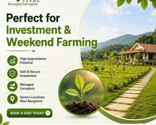 farmland-for-sale-near-bangalore-ideal-for-investment-weekend-farming