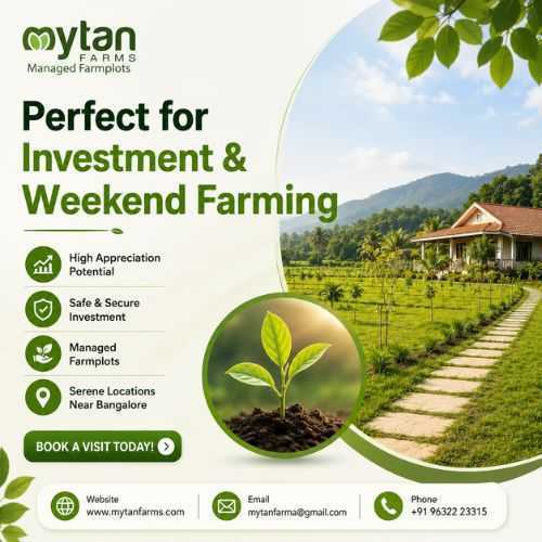 farmland-for-sale-near-bangalore-ideal-for-investment-weekend-farming-big-0