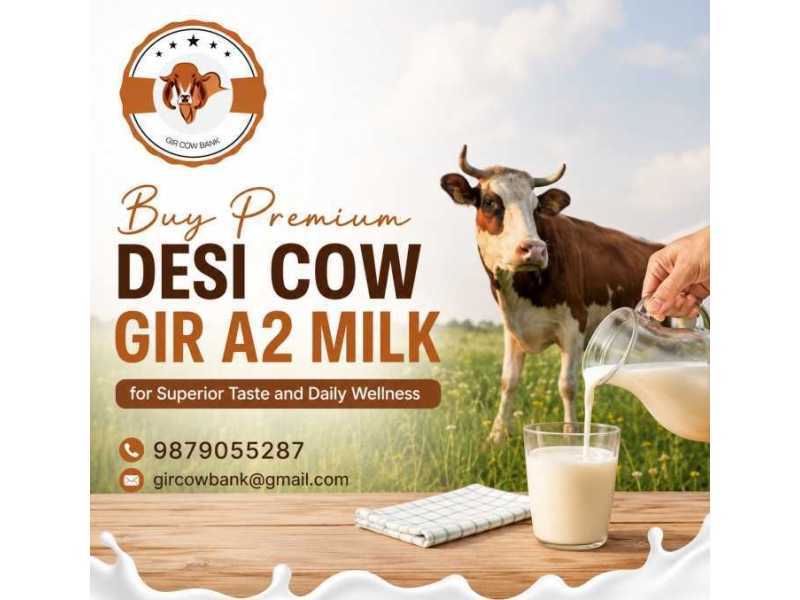 buy-premium-desi-cow-gir-a2-milk-for-superior-taste-and-daily-wellness-small-0