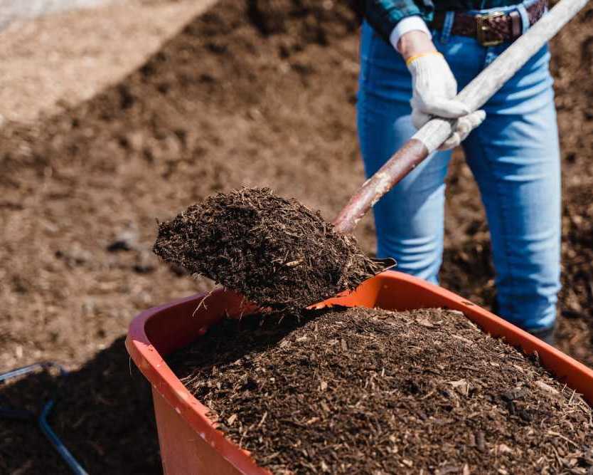 organic-fertilizer-manufacturer-in-india