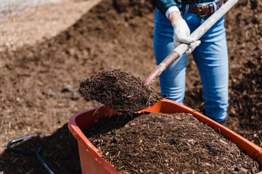 organic-fertilizer-manufacturer-in-india-big-0