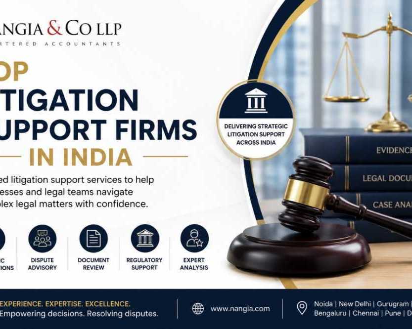 top-litigation-support-firms-in-india-nangia-co-llp
