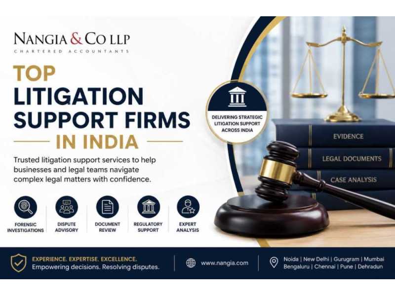 top-litigation-support-firms-in-india-nangia-co-llp-small-0