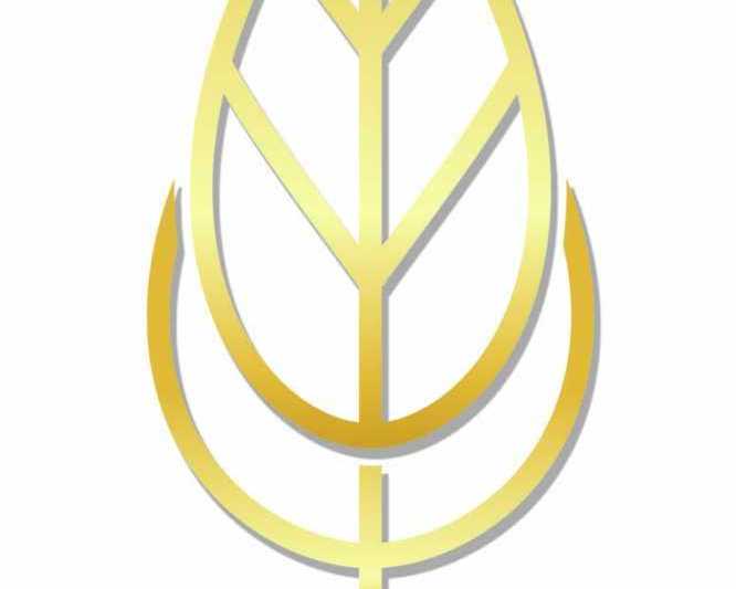gold-leaf-services-in-delhi-premium-gold-leaf-gilding