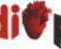 trusted-cardiac-diabetic-pcd-pharma-company-in-india