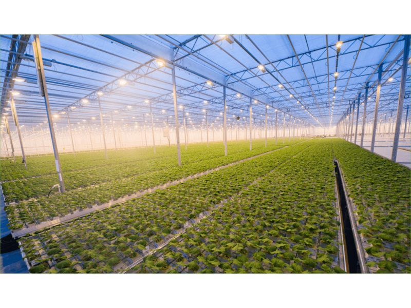 horticulture-hydroponics-programs-in-india-brio-hydroponics-small-0