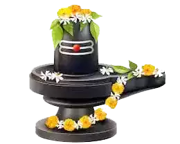 rudra-abhishek-puja-in-ujjain-book-experienced-pandit-ji