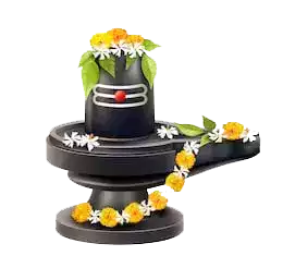 rudra-abhishek-puja-in-ujjain-book-experienced-pandit-ji-big-0