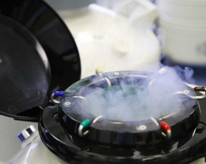 egg-freezing-cost-specialists-in-panchkula-start-your-journey