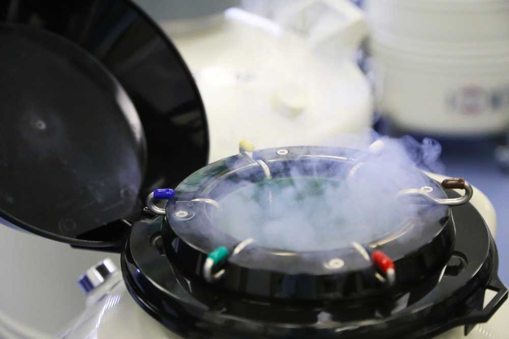 egg-freezing-cost-specialists-in-panchkula-start-your-journey-big-0