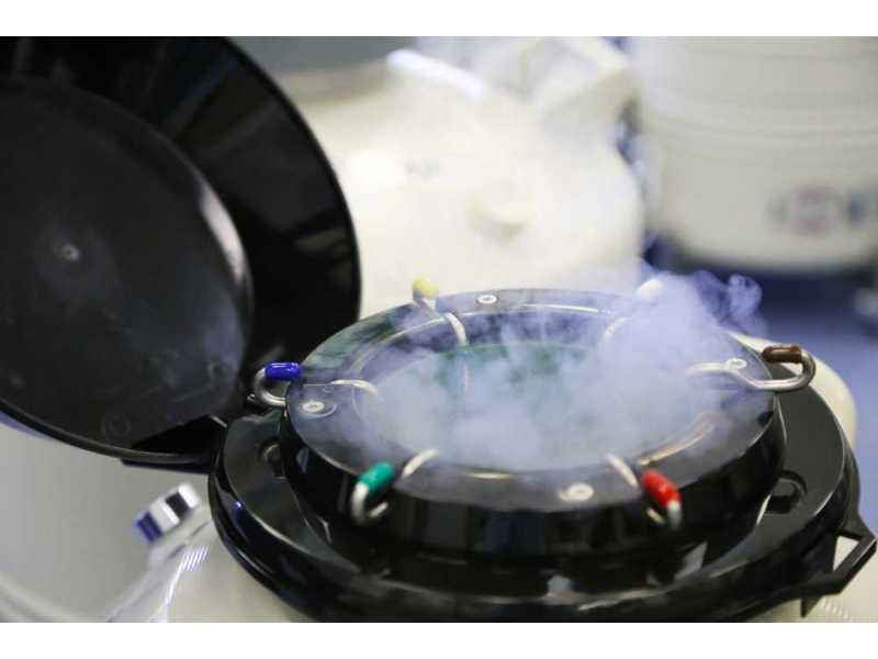 egg-freezing-cost-specialists-in-panchkula-start-your-journey-small-0