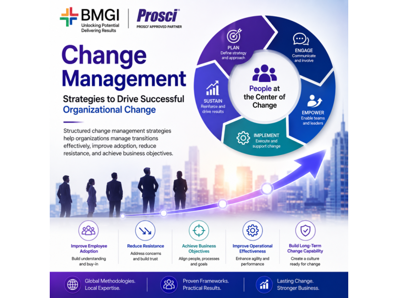 change-management-strategies-to-drive-successful-organizational-change-small-0