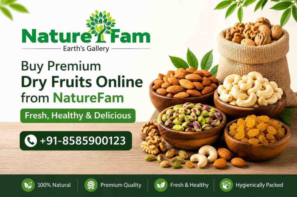 naturefam-dry-fruits-freshness-in-every-bite-big-0