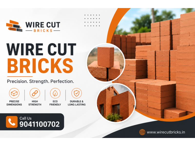 wire-cut-brick-manufacturer-supplier-haryana-india-small-0