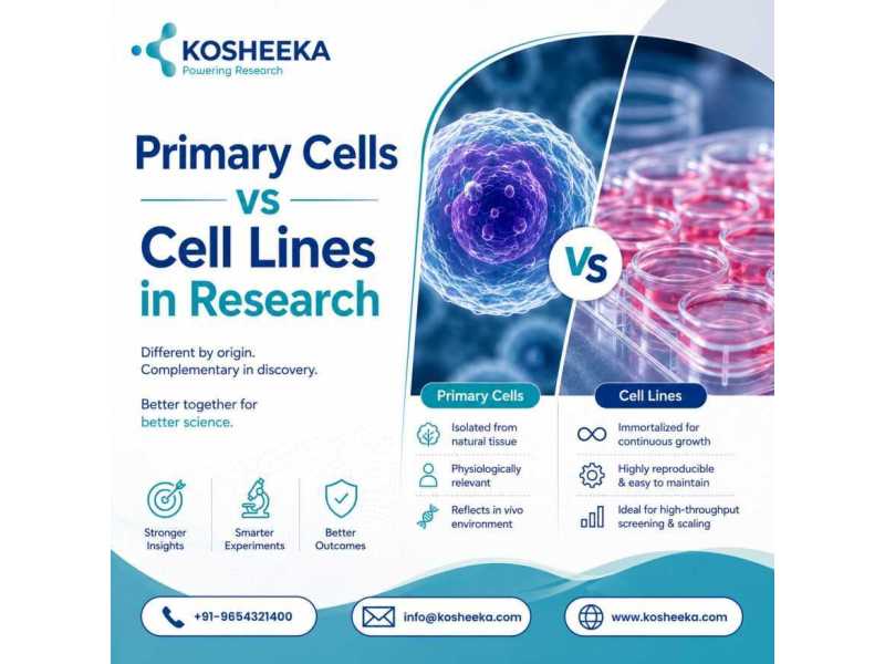 primary-cells-vs-cell-lines-in-research-small-0