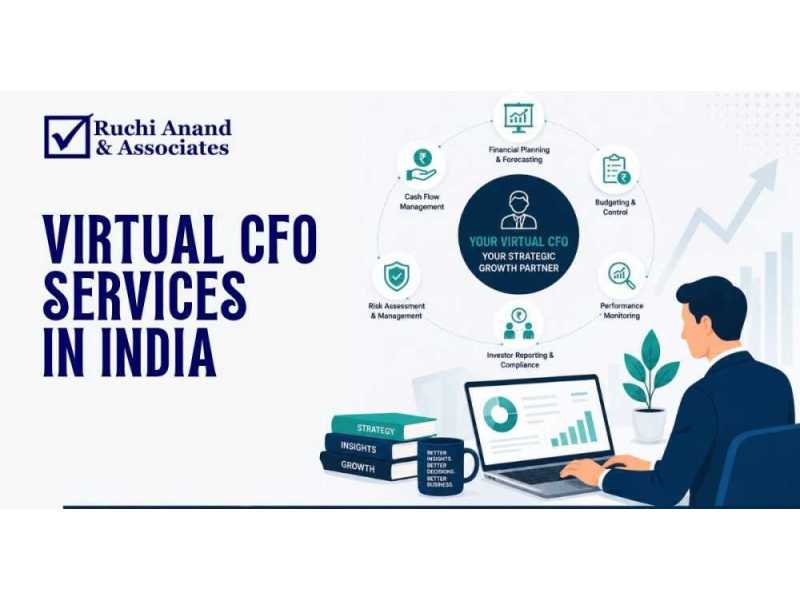 comprehensive-virtual-cfo-services-in-india-small-0