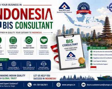 who-is-the-best-bis-consultant-in-indonesia