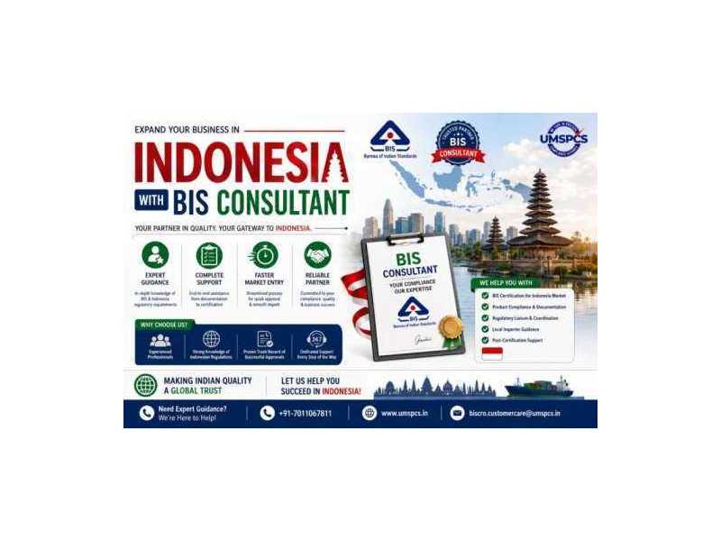 who-is-the-best-bis-consultant-in-indonesia-small-0