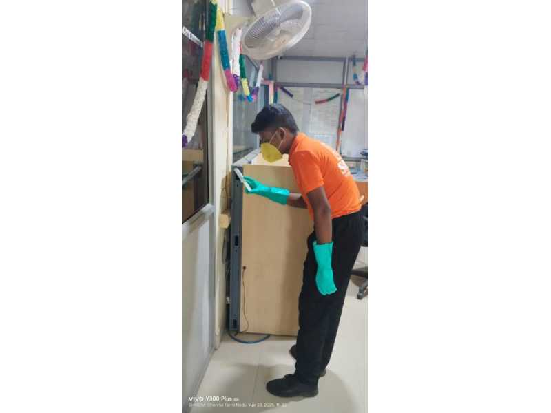 best-pest-control-services-in-bangalore-small-0