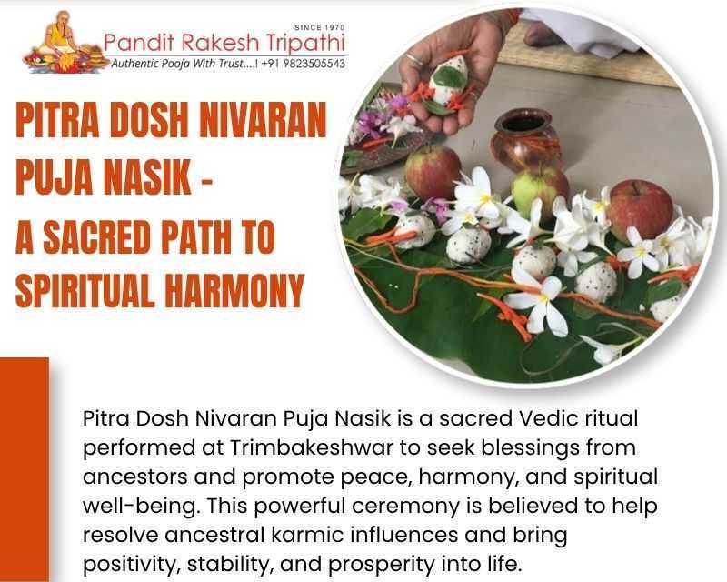 pitru-dosh-puja-trimbakeshwar-nasik