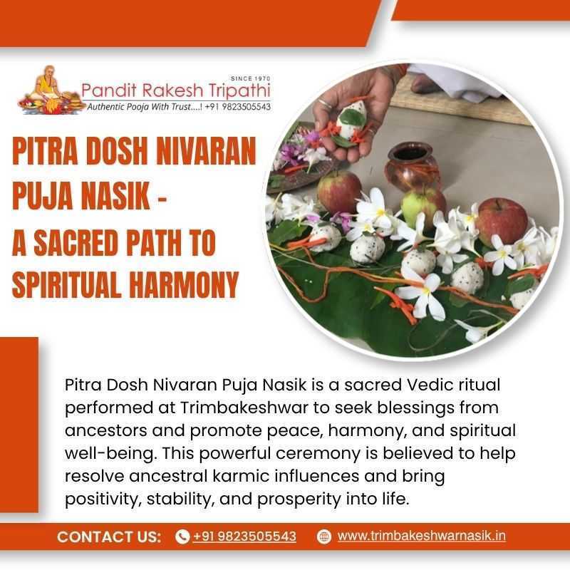 pitru-dosh-puja-trimbakeshwar-nasik-big-0