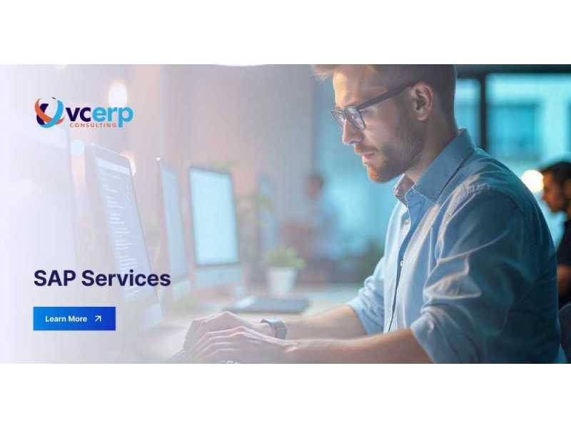 professional-sap-services-for-your-business-small-0