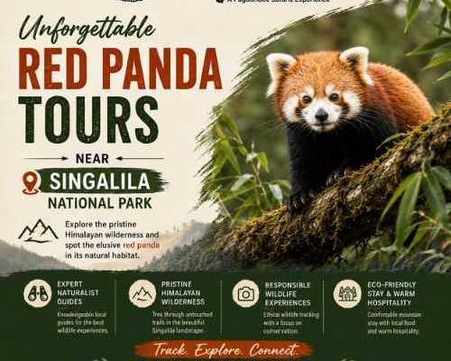 unforgettable-red-panda-tours-near-singalila-national-park