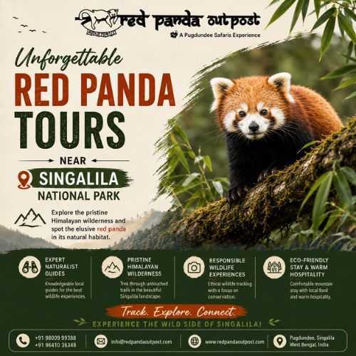 unforgettable-red-panda-tours-near-singalila-national-park-big-0