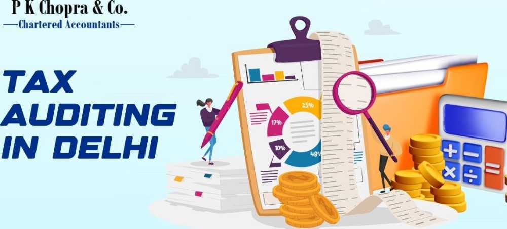trusted-tax-auditing-in-delhi-for-startups-and-companies-big-0