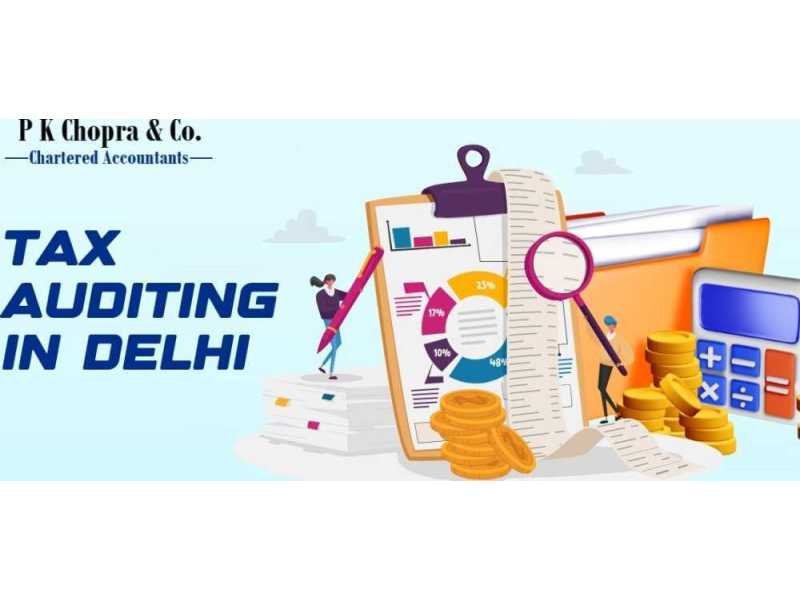 trusted-tax-auditing-in-delhi-for-startups-and-companies-small-0