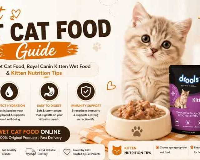 best-wet-cat-food-guide-for-cats-and-kittens-l-varun-pet-store