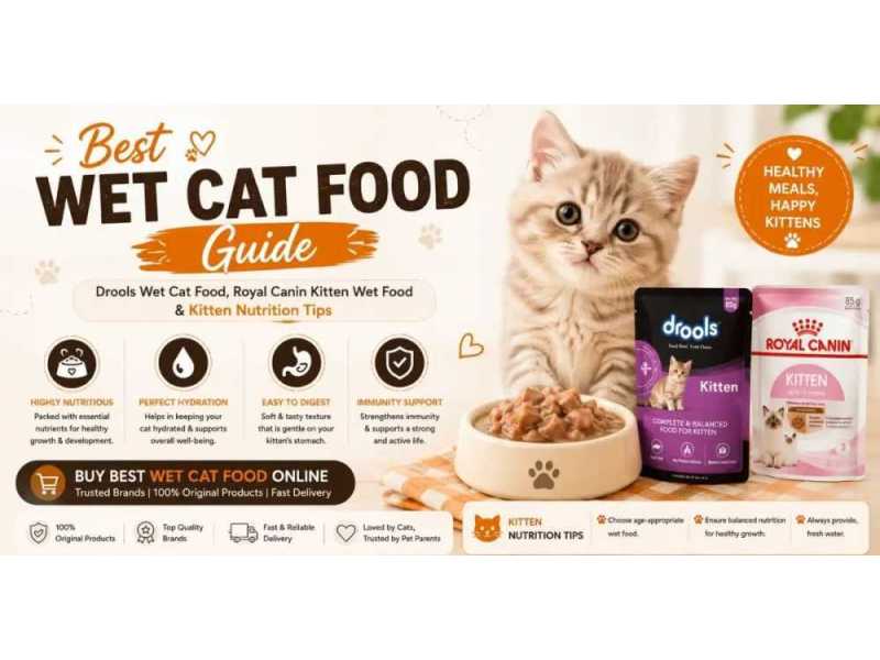 best-wet-cat-food-guide-for-cats-and-kittens-l-varun-pet-store-small-0