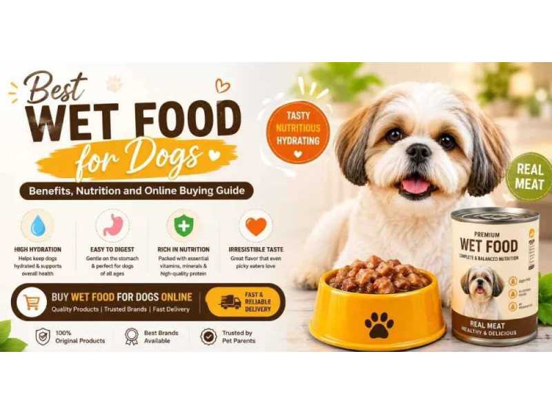 dog-wet-food-in-burari-delhi-varun-pet-store-small-0