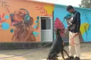 dog-training-centre-in-delhi-professional-dog-obedience-big-0
